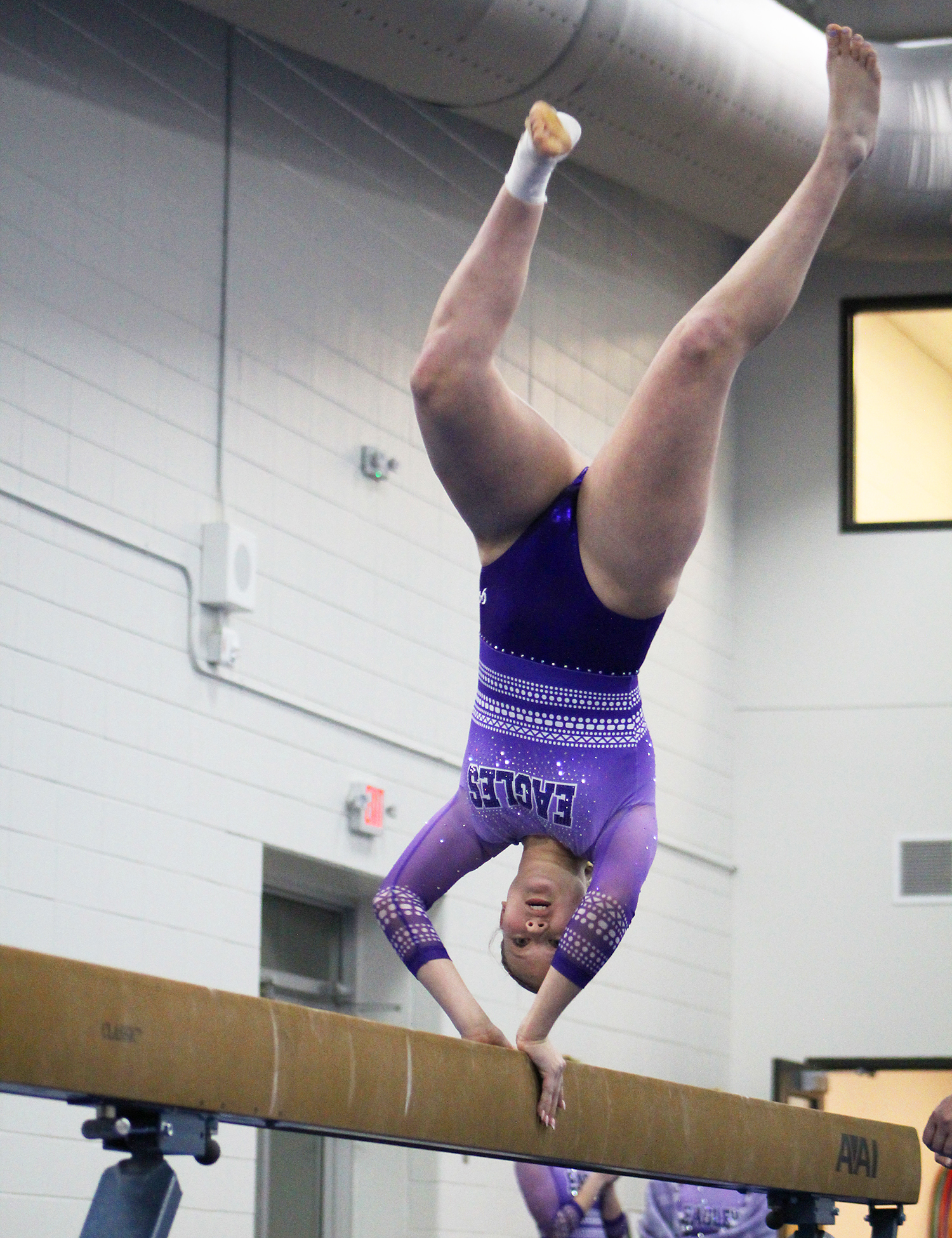 Area roundup: New Ulm gymnastics downs Marshall